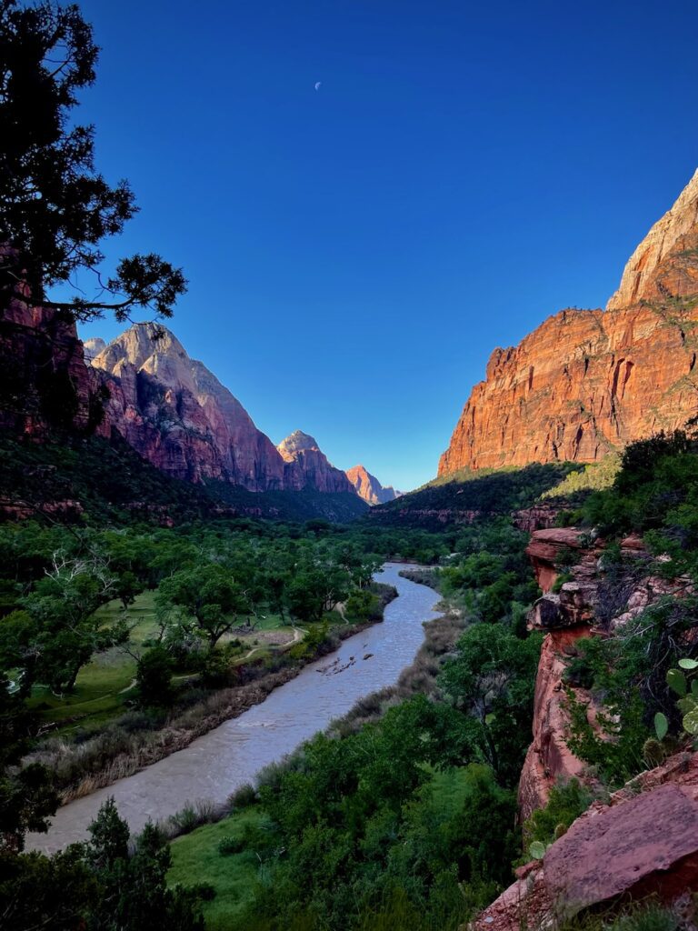 A photo from one of Lauren's hikes at Zion