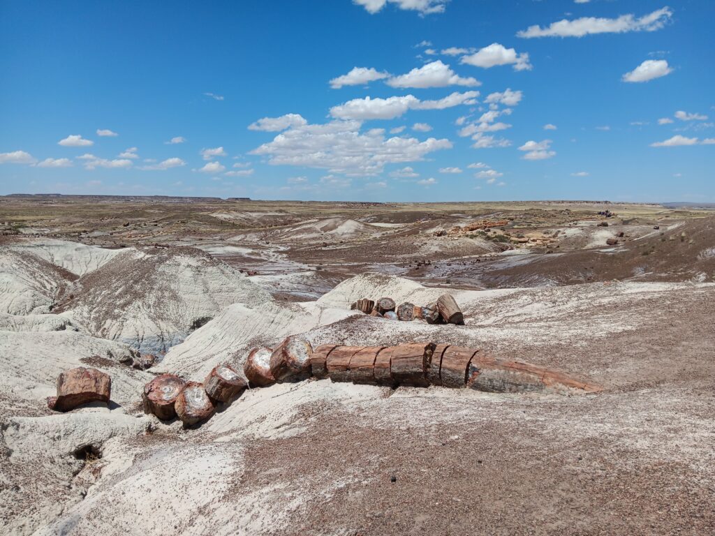 Petrified Wood Log broken in segments in the Petrified Forest National Park