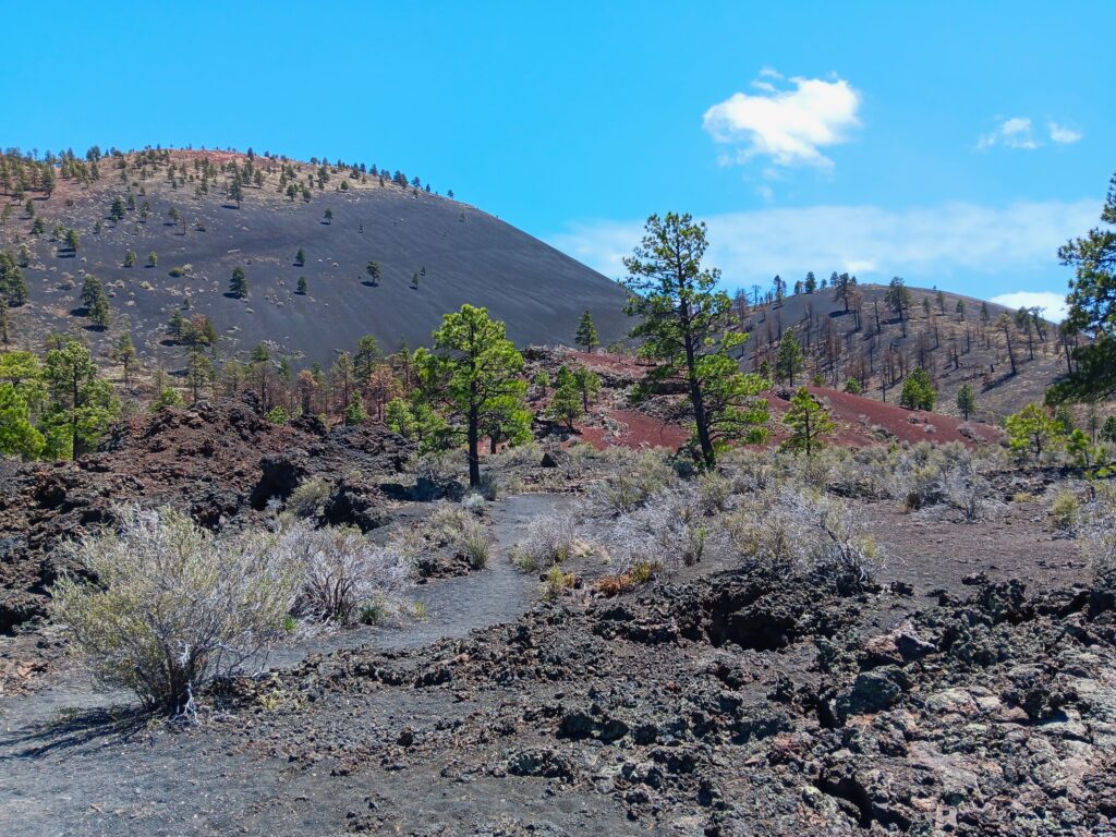 View along trail at Sunset Crater Volcano National Monument